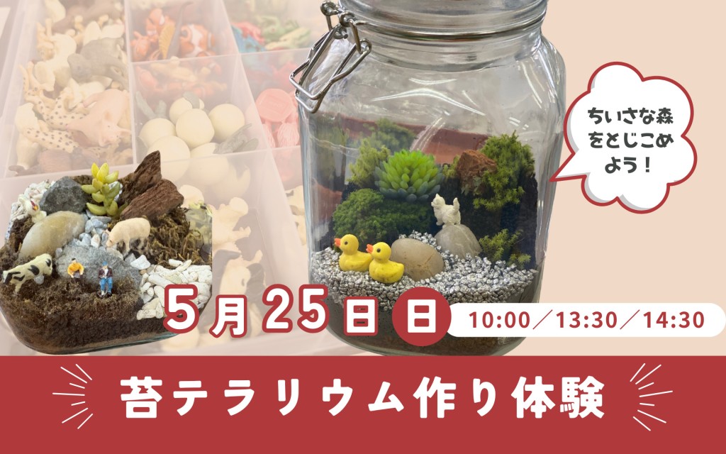 ちいさな森をとじこめよう！苔テラリウム作り体験0