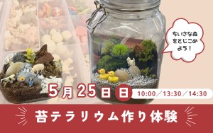 ちいさな森をとじこめよう！苔テラリウム作り体験